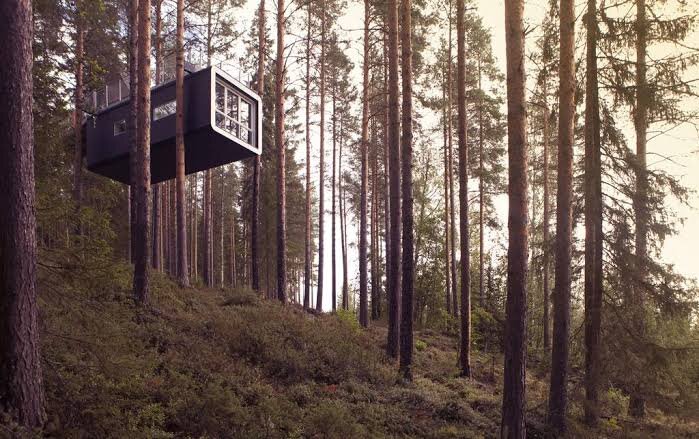 Tree Hotel Sweden