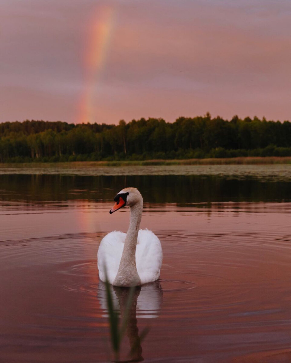 Псковская область, март 2018г