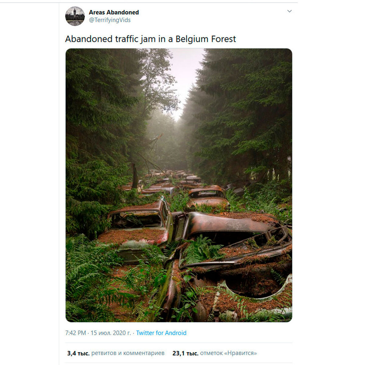 Тот самый пост в сети. Фото: Фото: Rosanne de Lange/www.flickr.com/photos/rosannedelange.