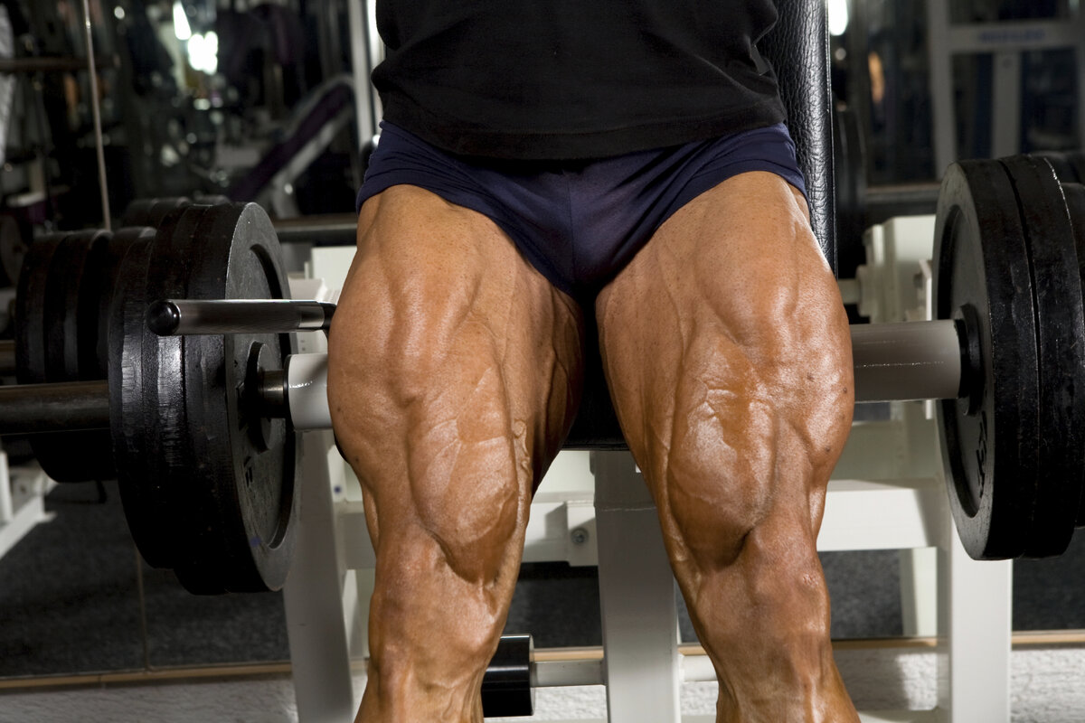 Leg muscles Workout