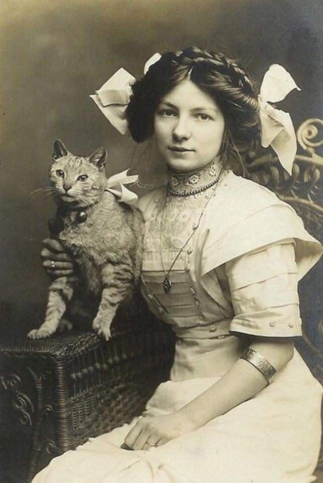 Можно ли определить: этот кот - чучело или живой, учитывая, что фото снято на несовершенную технику столетней давности