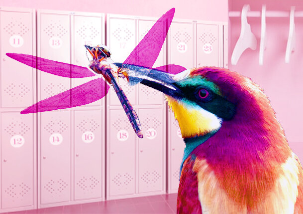 В коллаже использованы Яндекс-картинки