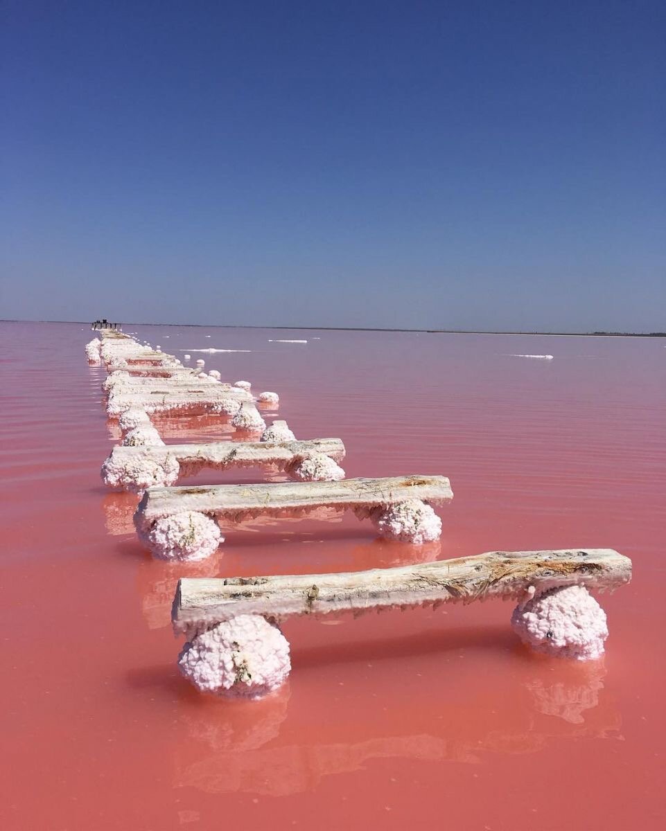 кояшское розовое озеро