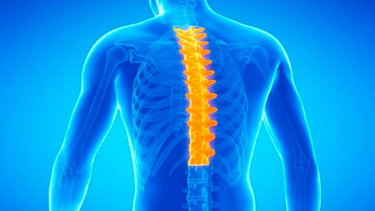 Вылечить грыжу грудного отдела позвоночника | Первая Медицинская ...