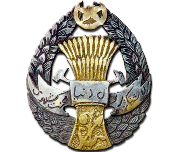 орден труда хорезмской республики. орден труда хорезмской республики. орден труда хорезмской народной советской республики. орден красного знамени хорезмской нср. орден красного знамени хорезмской народной советской республики.