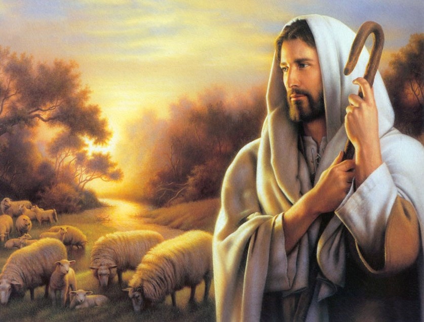 Источник фото: яндекс картинки