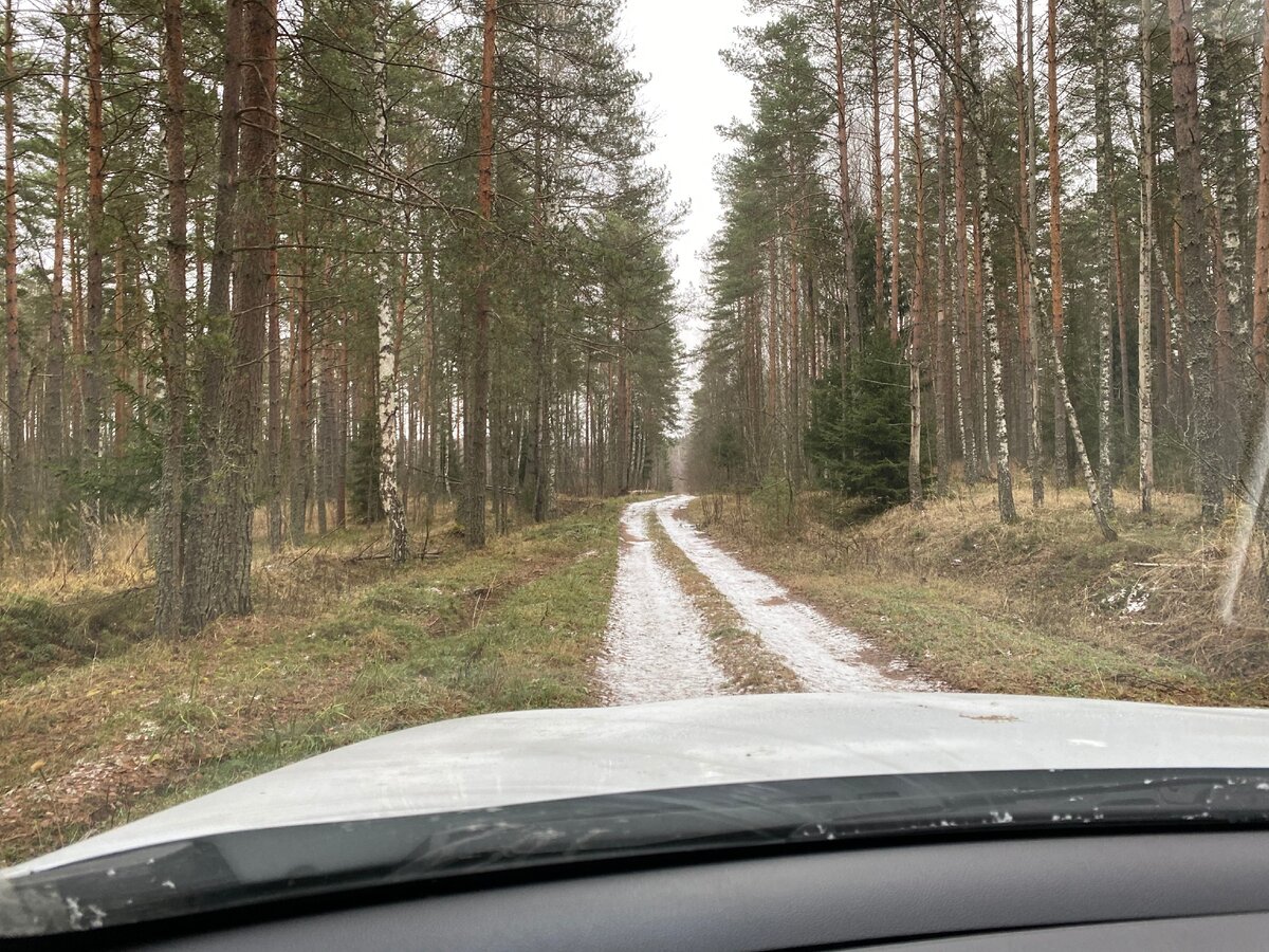 дорога наезженна, но этим утром мы были первыми