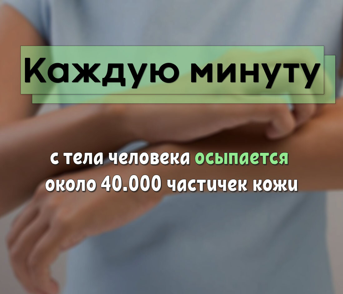 Кожа