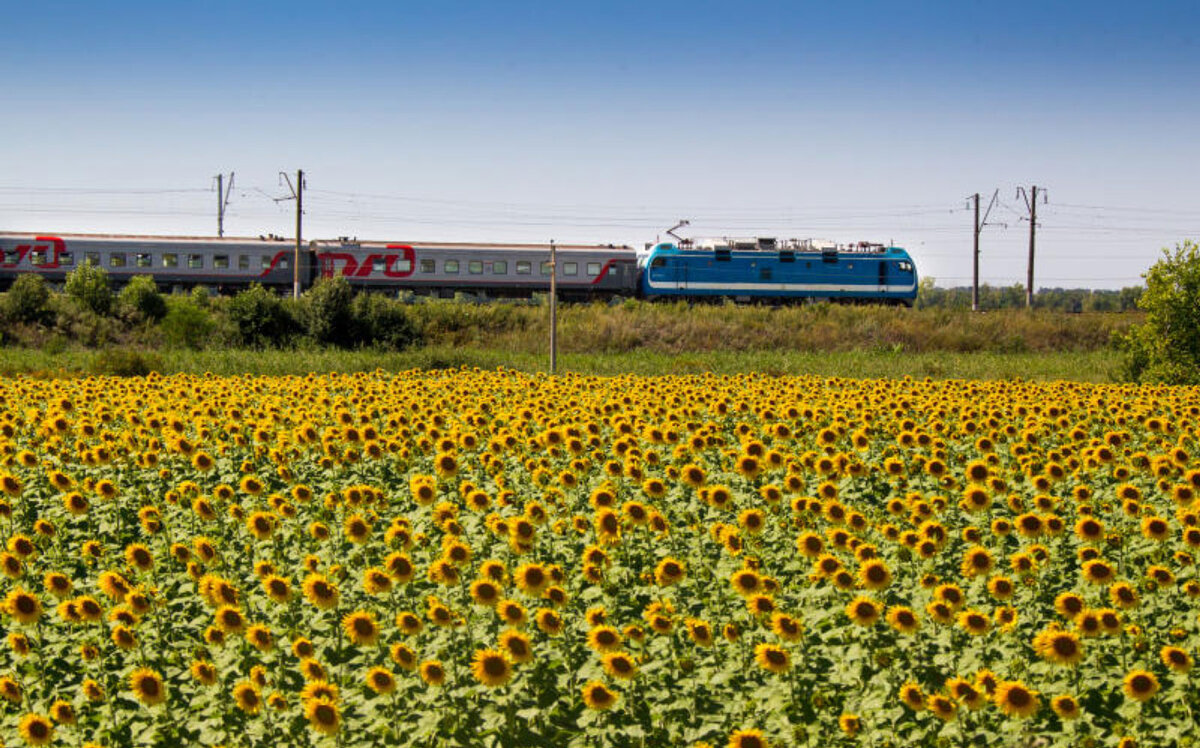 Миллерово