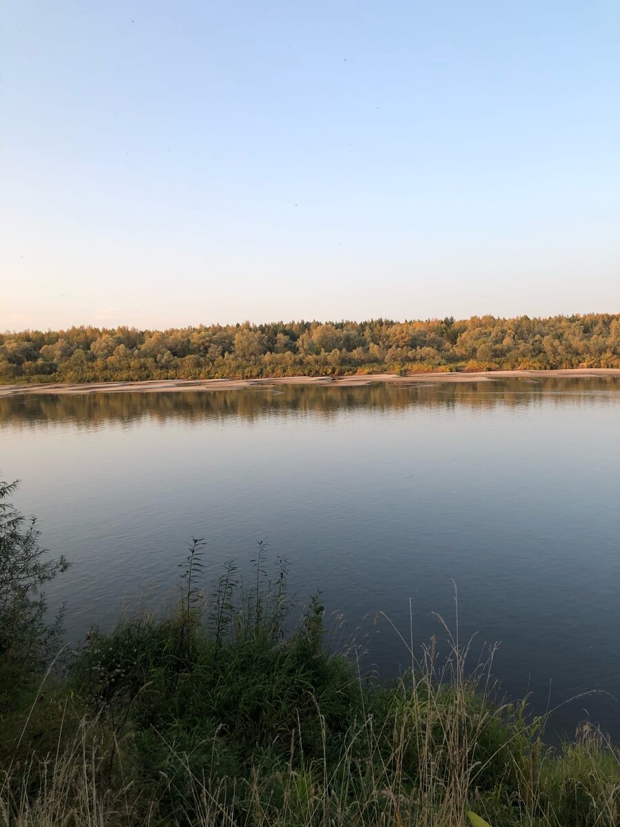 Берег ветлуги