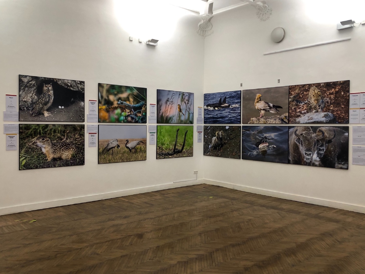  Из личного архива - выставка