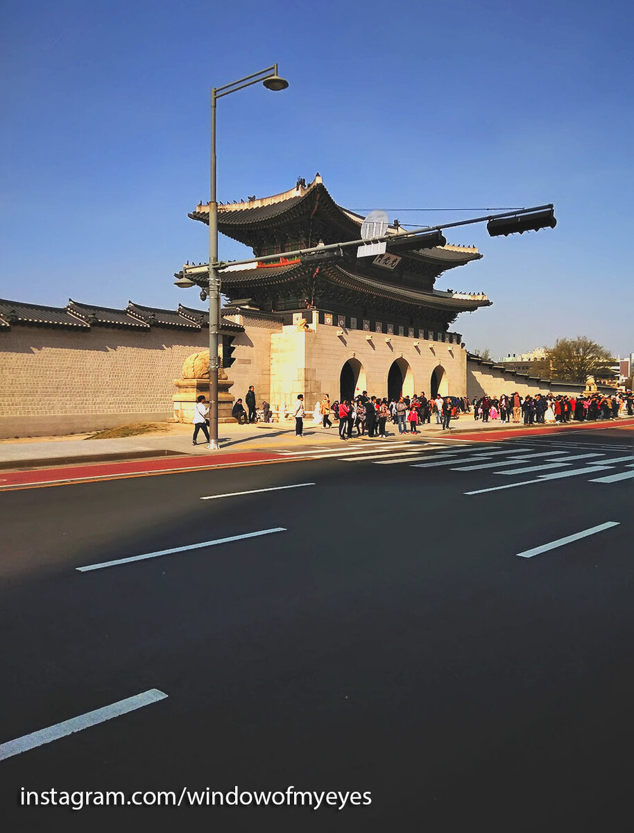 Большая демонстрация (листайте галерею). Фото из автобуса.