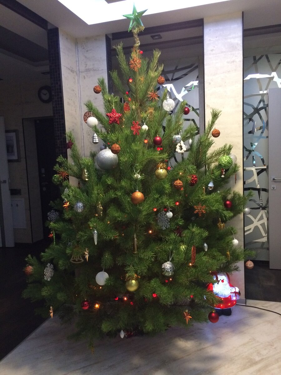 Новогодняя ёлка