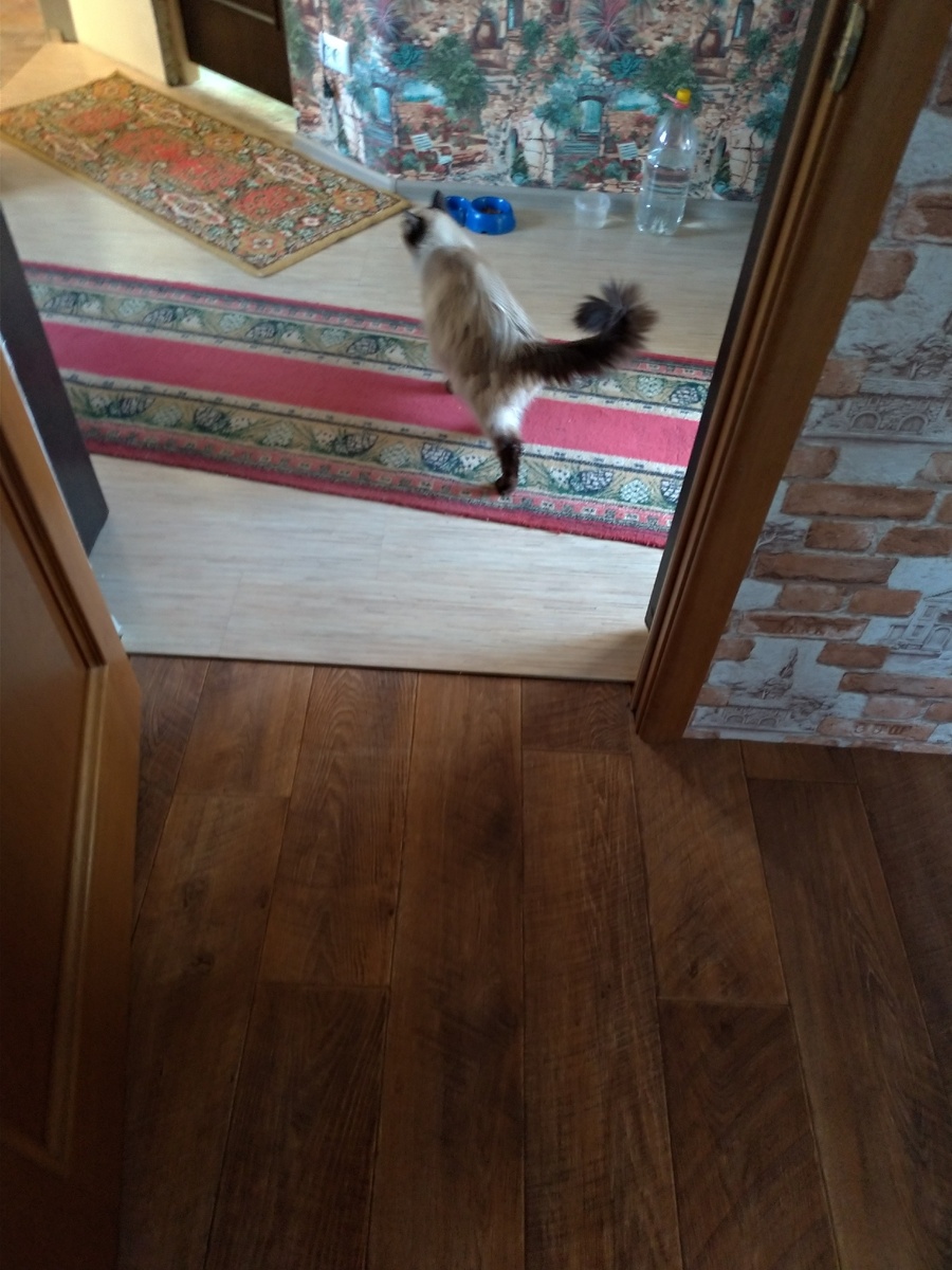 пошел обходить владения.