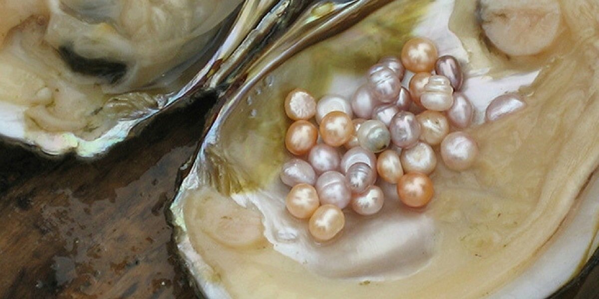 источник яндекс картинки