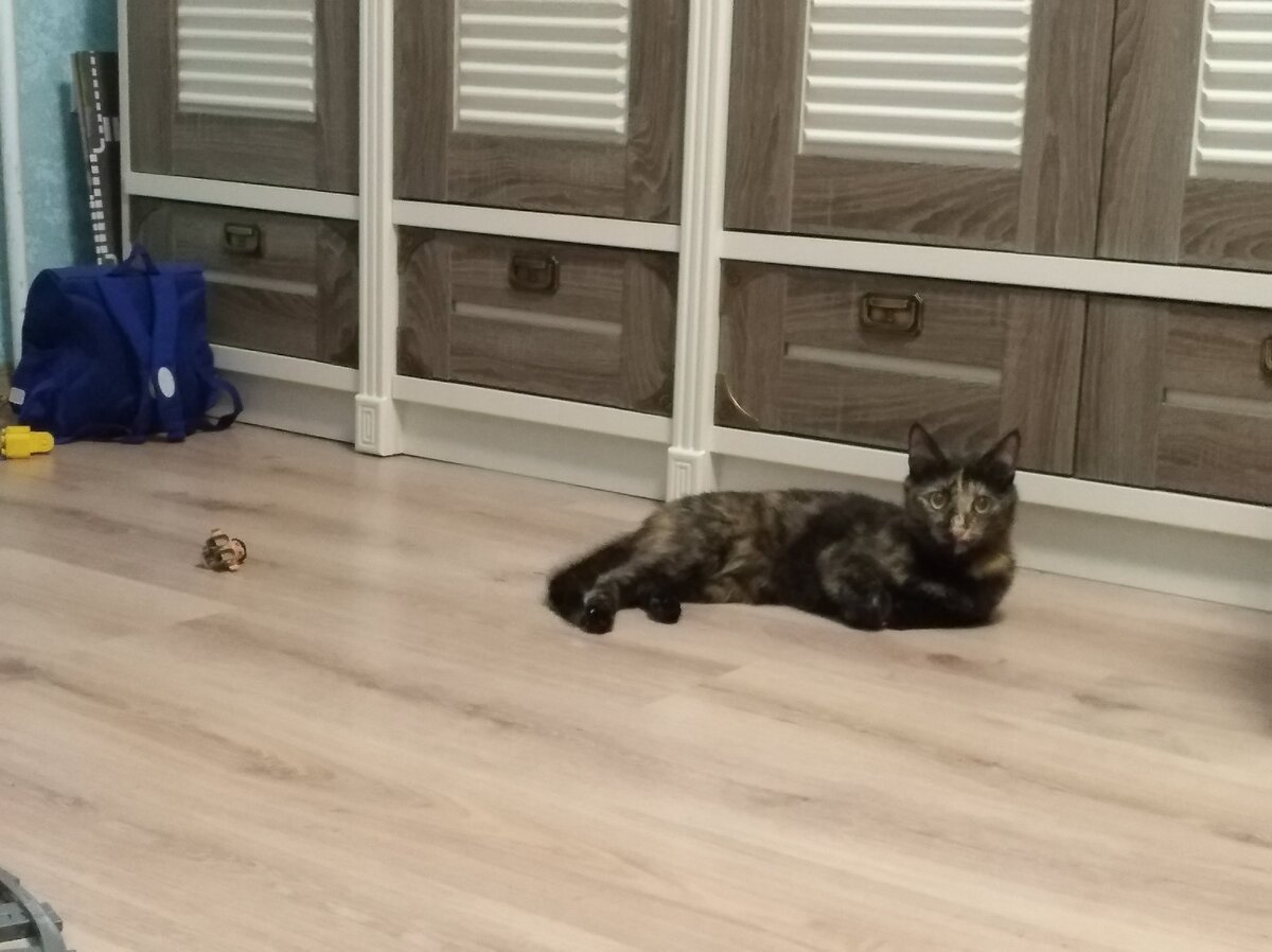 Как дела, малыш?