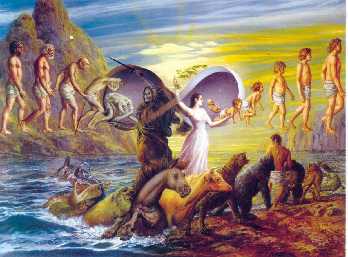 Рождение и смерть