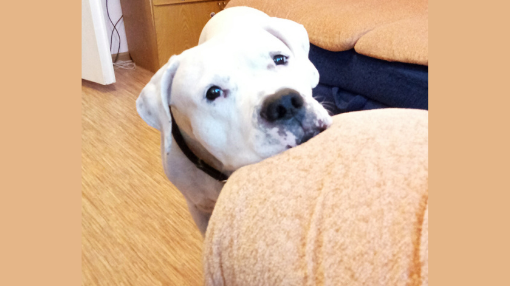 Шерри испепеляет взглядом. Молча. 