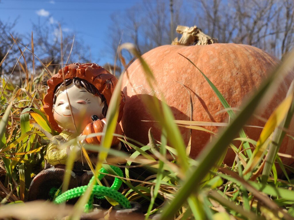 Урожай прошлого 2020 года