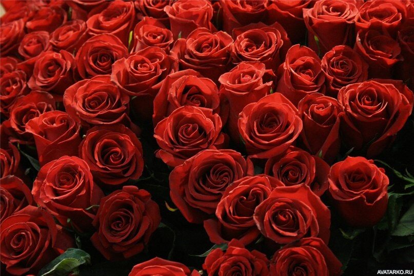 Картинки из интернета