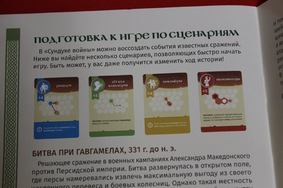 Чихуахуа применяет стратегию Александра Македонского по настольной игре  Сундук Войны | Веселая Будка | Дзен