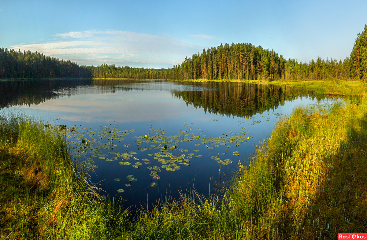 Фото из открытого источника интернет