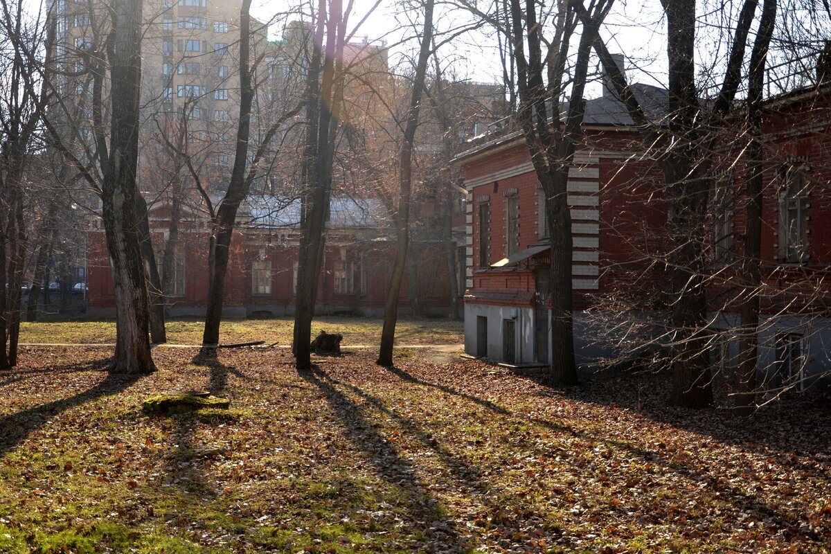 Больница св. Ольги. Парк. Фото автора