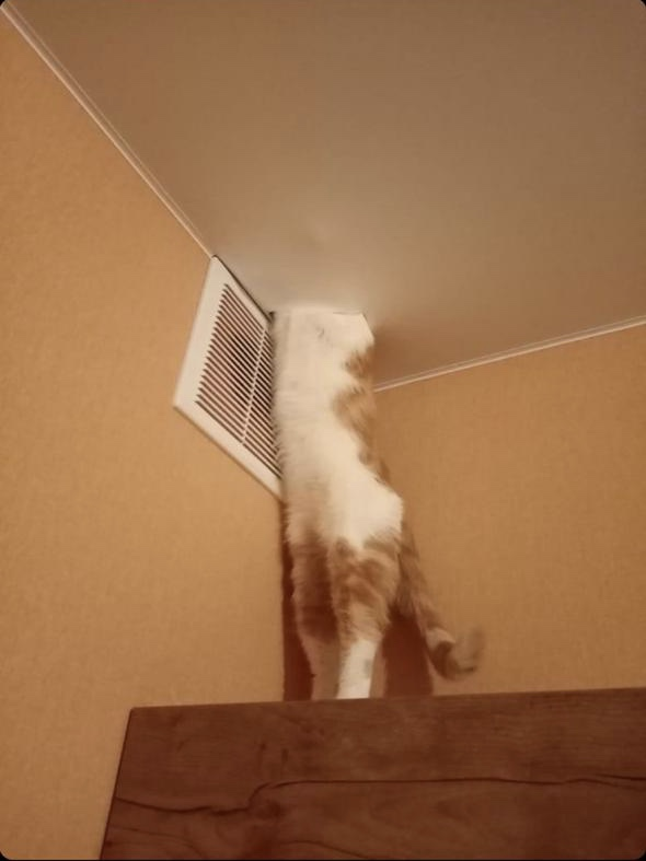 фото из архива автора