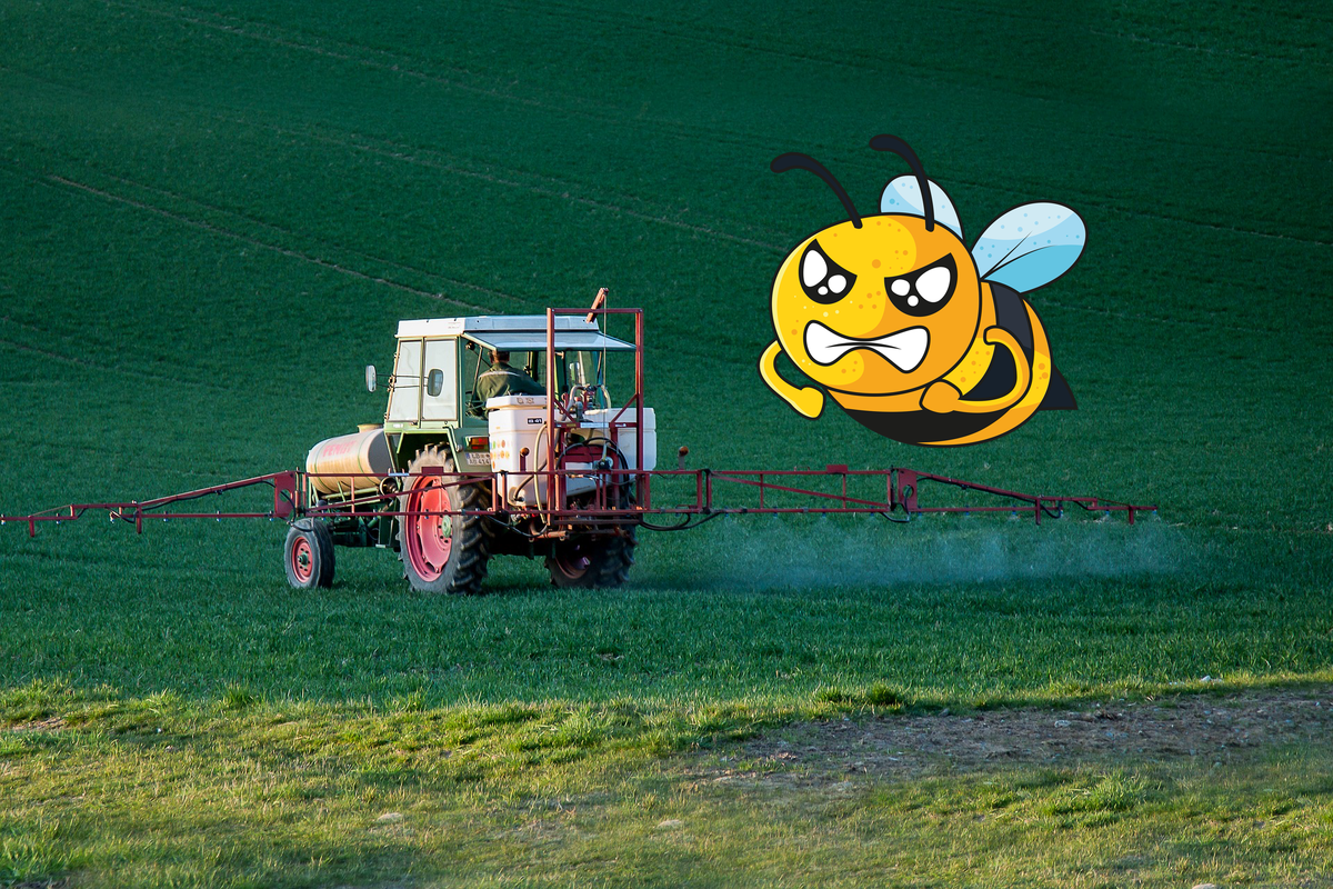 Пестициды в мёде могут оказаться по двум причинам. Обработка полей фермерами и лечение пчёл самим пчеловодом.
Сегодня рассмотрим первый момент.