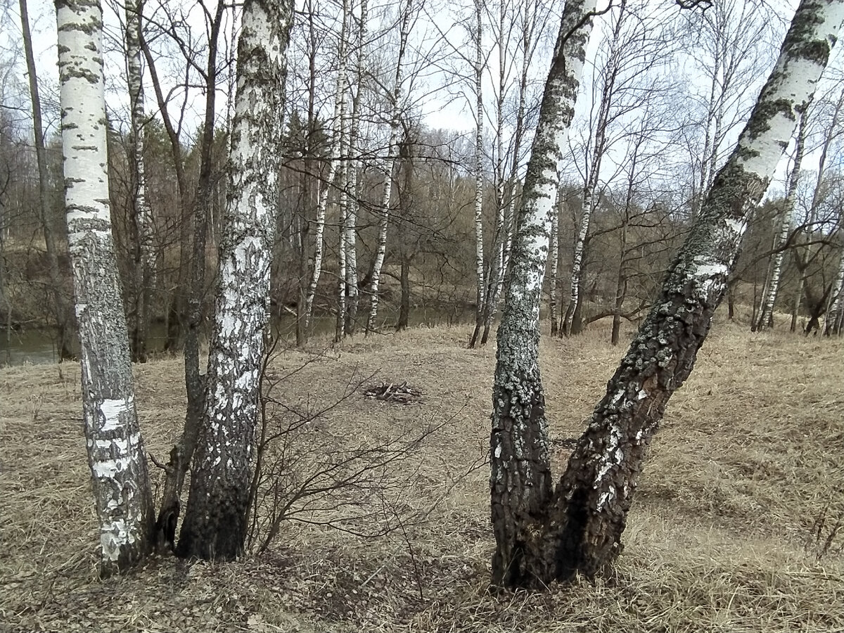 Природа - лучшее место для соединения с собой.