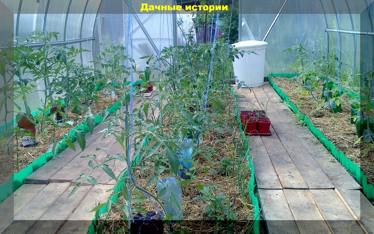 https://vk.com/photo-159774511_457247076