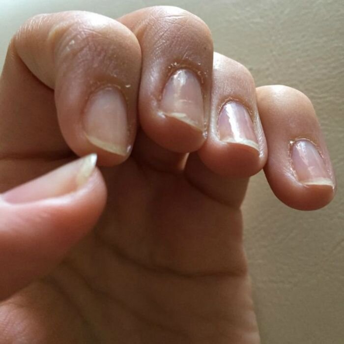 Фото Яндекс картинки