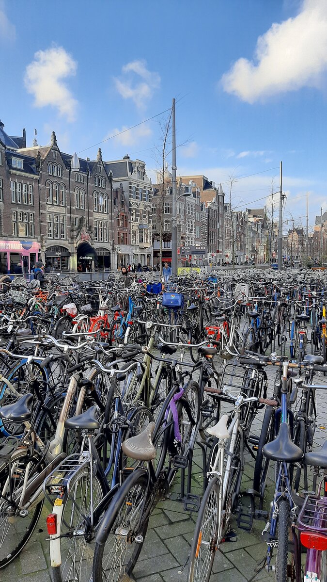 Амстердам город велосипедов. Фото из личного архива автора.