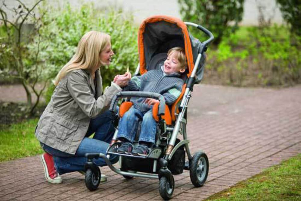 Фотография из свободных источников Яндекс