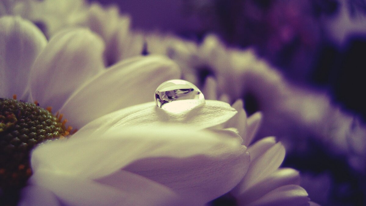 Капля дождя