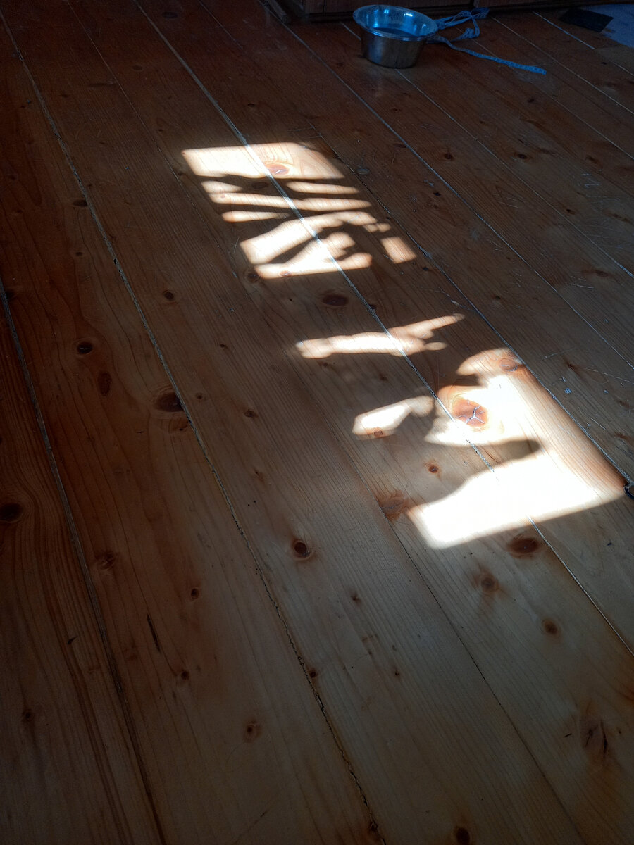 Это тень в моей комнате. Причудливый узор на полу. Солнышко светит в окошко, а на столике рядом стоят какие то предметы. Я залюбовалась!