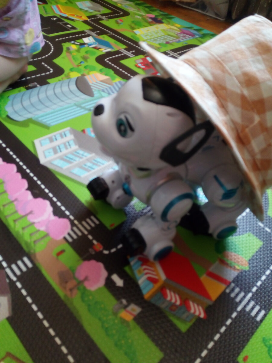 Внук надел на эту собачку шляпу и она (шляпа) тоже "ожила"