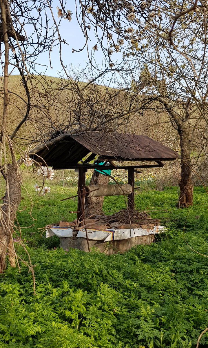 Старый колодец. Много лет назад он давал воду своим хозяевам