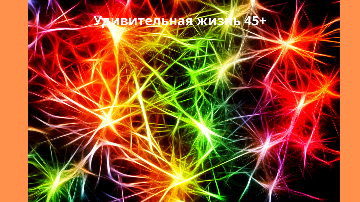 Фотография взята из открытых источников