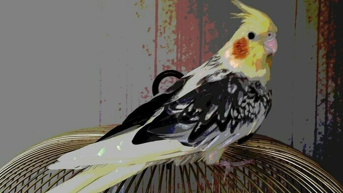 Корелла Марго. Фотография из личного архива автора