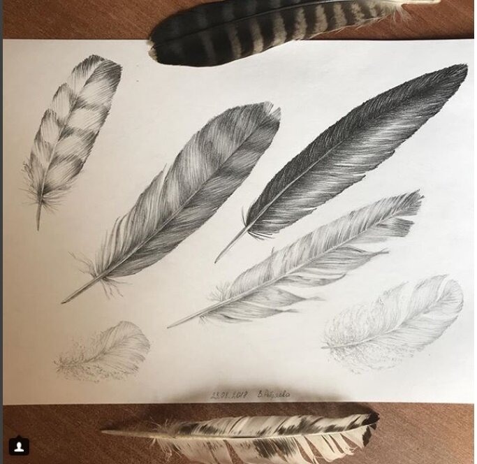 @nikaveetrova Результат участия в марафоне #нипуханипера_марафон от @enterclass 🙂 Вспомнив возможности чернографитного карандаша (а я ведь знаю, что он может всё 😉), пришла в восторг! Действительно, прекрасная тренировка штриха 👍🏻 Спасибо @tashagabeeva за уроки и за открытие перьевого разнообразия 😊