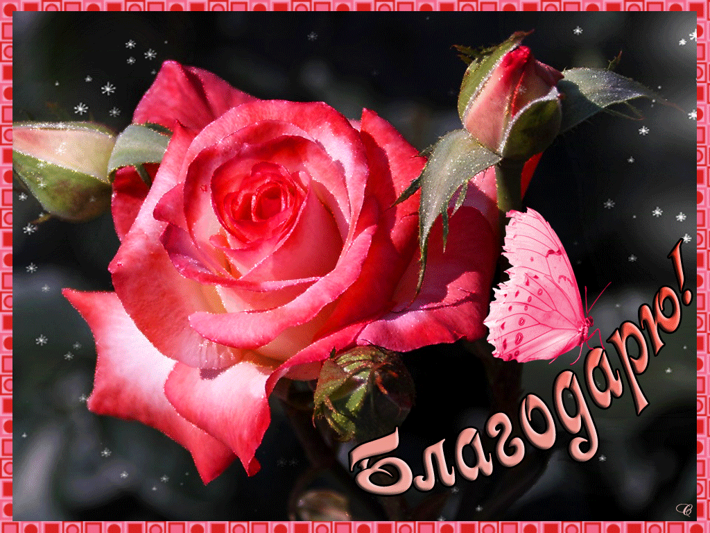 Источник: Яндекс картинки