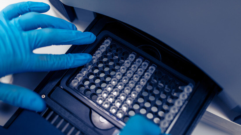   Gettyimages.ru vitapix