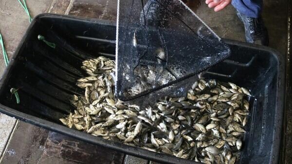   © Photo : Пресс-служба управления делами президента