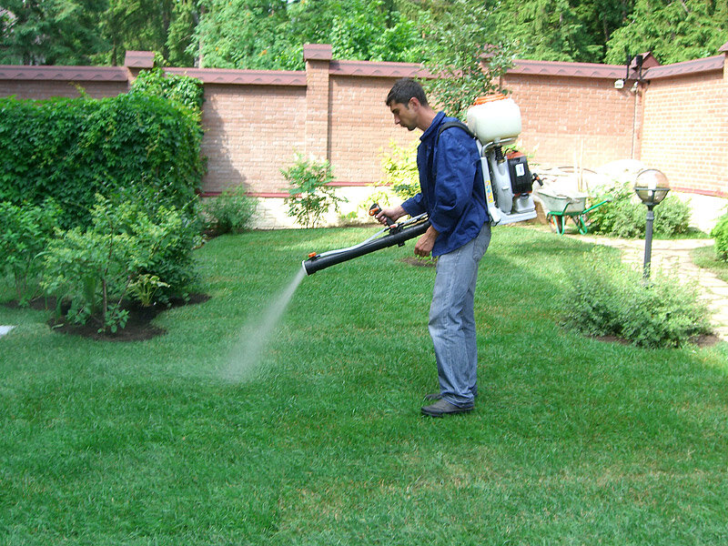 Профессиональный садовник. Выполнение ландшафтных работ. Профессиональный садовник. Кто обслуживает сады. Фото специалисты по дренажным работам.
