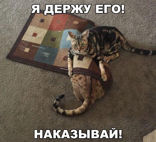 Посмеялся сам - поделись с другом!!!