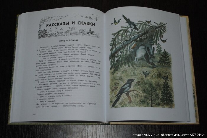 Книжка весть