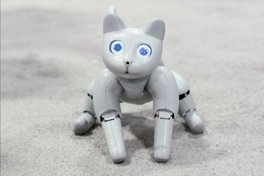 MarsCat — необычная робокошка, придуманная китайскими инженерами