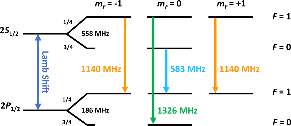   Gianluca Janka et al. / Nature Communications, 2022