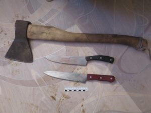    Фото: Главное следственное управление Следственного комитета Российской Федерации по Красноярскому краю и Республике Хакасия Анита Ким